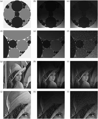 Figure 1 An Appolonian phantom (a) and Lena (g) corrupted with a realistic MR intensity inhomogeneity bias field (b),(h) and 9% Rician noise (c),(i). A zoomed section of the original images (d),(j), with the added inhomogeneity (e),(k) and 9% Rician noise (f),(l).