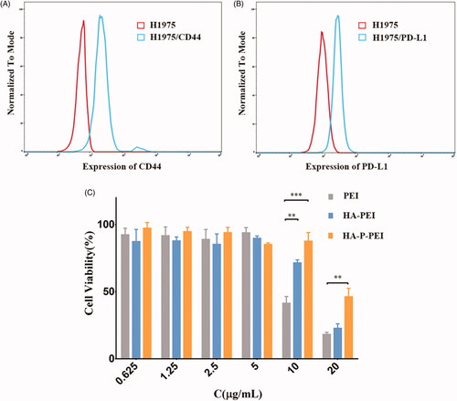 Figure 4. CD44 (A) and PD-L1 (B) expression in H1975 cells according to flow cytometry. MTT assay results (C) following treatment with PEI, HA-PEI, and HA-P-PEI solutions for 48 h.