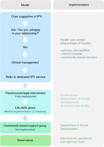 Fig. 1 Model for IPV care implemented in the Witzenberg. Flow chart describing the model of care implemented in the Witzenberg, including service providers responsible for each step during the pilot.