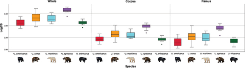 Figure 4. Boxplots showing differences in log centroid size (logCS) of whole mandible, corpus and ramus specimens across all species of Ursus.