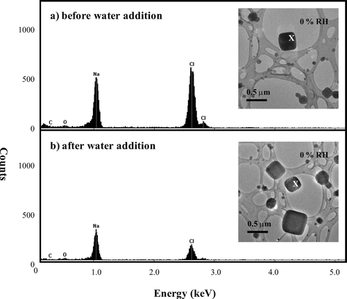 FIG. 9 Images of NaCl particles selected to determine the possible presence of contamination. The corresponding EDS spectra were obtained at the locations denoted with an “X.” The particles were prepared using a TSI atomizer and were deposited on a lacey-carbon film (no Formvar).
