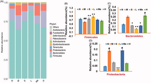 Figure 3. Comparison of gut microflora of (A) Barplot of relative abundance at the phylum level; the relative abundance of (B) Firmicutes, (C) Bacteroidetes, and (D) Proteobacteria. # p < 0.05 and ## p < 0.01 vs. the normal group. *p < 0.05 and **p < 0.01 vs. the model group. Data are reported as mean ± SD. N: normal; M: model; S: fluoxetine; L: TIV-L; Me: TIV-M; H: TIV-H (n = 3 per group).