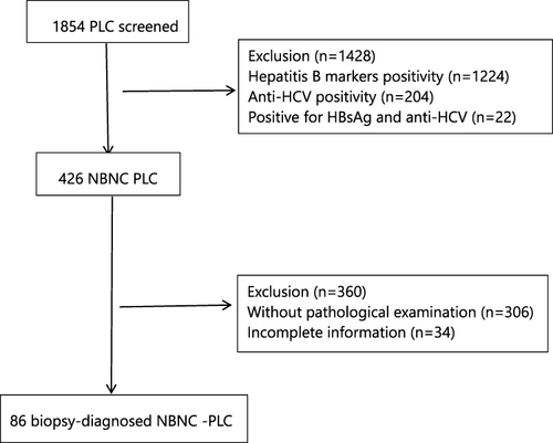 Figure 2 Flowchart of NBNC primary liver cancer screened.