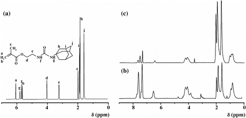 Figure 1 The 1H NMR spectra of N-methacryloyloxyethyl N′-adamantyl urea (a), diblock copolymer PCEMA-b-PMAdU (b), and triblock copolymer PCEMA-b-PMMA-b-PMAdU (c) in DMSO-d6.