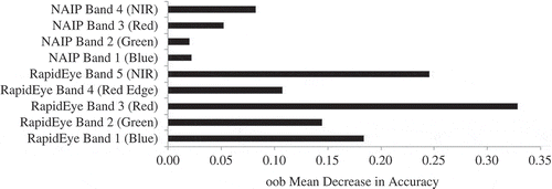 Figure 2. Relative importance of predictor variables for NAIP and RapidEye at provided cell size as estimated by the oob mean decrease in accuracy by RF.