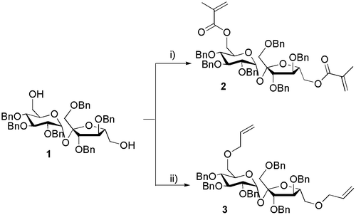 Scheme 1. Synthesis of sucrose-containing monomers from 1′,2,3,3′,4,4′-hexa-O-benzylsucrose 1. (i) (CH2=C(CH3)CO)2O, CH2Cl2, Et3N, DMAP, 35 ºC, 300 W, 10 min, 65% or rt, 4 h, 69%. (ii) CH2=CH–CH2–Br, NaH, DMF, 145 °C, 300 W, 10 min, 74% or rt, 3 h, 79%.