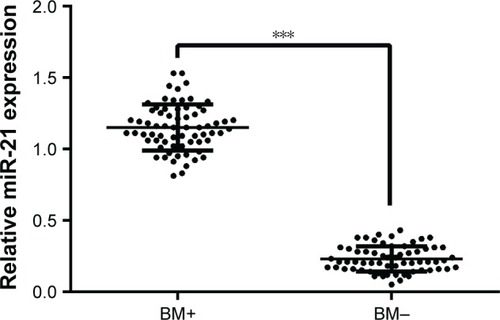 Figure 1 Expression of miR-21 in NSCLC patients with or without BM detected by qRT-PCR.