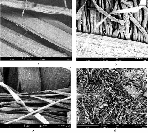 Figure 8. Scanning electron micrographs of sisal based fabrics and cow nubuck leather showing the grain surface at a magnification of 1000 × . (a) S1; (b) S2; (c) S3; (d) cow nubuck Leather.
