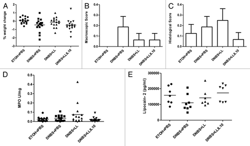 Figure 2. Validation of micro-inflammation status. Severity of the colitis reactivation was assessed by body weight change (A), macroscopic scores (B), histological scores (C) MPO activity, and (D) lipocalin-2 levels in: control non-inflamed (EtOH+PBS), micro-inflamed mice (DNBS+PBS), LL-treated mice (DNBS+PBS), and LL-IL10-treated mice (DNBS+LL-IL10) (n = 16).