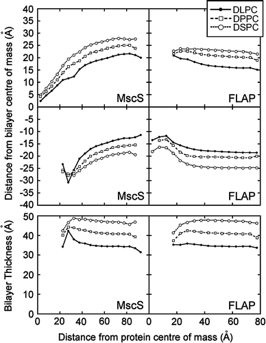Figure 4.  Bilayer distortion as a function of distance from the protein. The upper four panels show the mean phosphate radial distance from the bilayer centre of mass in the upper and lower leaflets as a function of the distance from the protein centre of mass of MscS and FLAP. In each case the pattern of bilayer distortion is similar irrespective of lipid tail length. The lower two panels give the bilayer thickness as function of the distance from the protein centre of mass.
