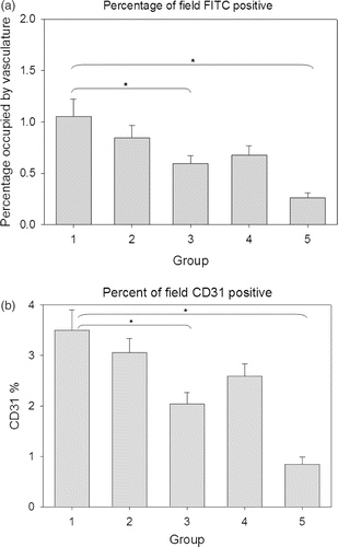 Figure 4. Area occupied by FITC and CD31 staining. (a) Percentage of field positive for Tomato lectin-FITC fluorescence, suggestive of functional vasculature. (b) Percentage of field staining positive for CD31 vasculature. The groups mentioned in the graphs are as follows: (1) Normal saline injection, Control. Tumours collected at the same time as treatment group (5 days post-HT); (2) Ad LacZ + HT. 5 days post-HT; (3) AdhspmIL-12, no HT. Same time as treatment group (5 days post-HT); (4) Normal saline injection, HT only. 5 days post-HT; (5) AdhspmIL-12 + HT. 5 days post-HT. Reduction in tumour vasculature was statistically significant (p < 0.05) in group 5 as compared to all other groups and for group 3 when compared to Control group (group 1).