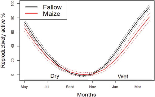 Figure 5. Smoothed spline for the correlation between time of the year and the proportion of reproductively active animals in fallow (black) and maize (red) fields. The solid line represents the mean and the dotted lines the standard errors.