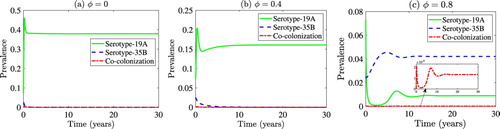 Figure A2. Effect of cohort vaccination coverage (ϕ) on the prevalence of the two SP serotyes and co-colonization. Simulations of the vaccination model (EquationA.1(A.1) (Nu)′=Λ(1−ϕ)+ωNv−(λi+λj+μ)Nu,(Nv)′=Λϕ−[(1−ϵ)λi+λj+ω+μ]Nv,(Cui)′=λiNu+ηiλiRuni−(γi+θiλj+μ)Cui,(Cvi)′=(1−ϵ)λiNv+ηiλiRvni−(θvγi+θiλj+μ)Cvi,(Cuj)′=λjNu+ηjλjRunj+ωCvj−(γj+θjλi+μ)Cuj,(Cvj)′=λjNv+ηjλjRvnj−[γj+θj(1−ϵ)λi+ω+μ]Cvj,(Cuij)′=θiλjCui+θjλiCuj+θjηiλiCunij+θiηjλjCunji−(γij+μ)Cuij,(Cvij)′=θj(1−ϵ)λiCvj+θiλjCvi+θjηiλiCvnij+θiηjλjCvnji−[(θv(1−r2)+r2)γij+μ]Cvij,(Runi)′=γiCui−(ηiλi+λj+μ)Runi,(Rvni)′=θvγiCvi−(ηiλi+λj+μ)Rvni,(Runj)′=γjCuj+ωRvnj−(ηjλj+λi+μ)Runj,(Rvnj)′=γjCvj−[ηjλj+(1−ϵ)λi+ω+μ]Rvnj,(Runinj)′=γiCunji+γjCunij+(1−r1−r2)γijCuij−(ηiλi+ηjλj+μ)Runinj,(Rvninj)′=θvγiCvnji+γjCvnij+θv(1−r2)(1−r1)γijCvij−(ηiλi+ηjλj+μ)Rvninj,(Cunji)′=λiRunj+ηiλiRuninj+r2γijCuij−(γi+θiηjλj+μ)Cunji,(Cvnji)′=(1−ϵ)λiRvnj+ηiλiRvninj+r2γijCvij−(θvγi+θiηjλj+μ)Cvnji,(Cunij)′=λjRuni+ηjλjRuninj+r1γijCuij−(γj+θjηiλi+μ)Cunij,(Cvnij)′=λjRvni+ηjλjRvninj+θv(1−r2)r1γijCvij−(γj+θjηiλi+μ)Cvnij.(A.1) ), showing the prevalence of 19A, 35B and co-colonization and overall cohort-wide vaccination coverage, as a function of time for (a) no cohort vaccination(ϕ=0), (b) low coverage level of cohort vaccination (ϕ=0.4), (c) high coverage level of cohort vaccination (ϕ=0.8). Other parameter values used are as given in Table 2. The initial condition for no (ϕ=0), low (ϕ=0.4) and high (ϕ=0.8) coverage level of cohort vaccination are listed in items (i), (ii) and (iii), respectively, in Section D. The constituent reproduction numbers of the vaccination model for each of the settings (a)–(c) above are given by (a) Rvi=3.214, Rvj=1.1 (so that, Rv=3.214), (b) Rvi=2.222, Rvj=1.1 (so that, Rv=2.222) and (c) Rvi=1.23, Rvj=1.1 (so that, Rv=1.23). The rate parameters are in years.