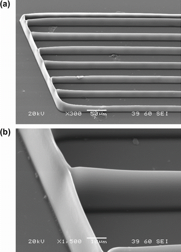 Figure 6 Polymerized feature on a silicon substrate at 0.104 W laser power, 214 fs pulse width, and 2.5 mm/s scanning speed. The line width is around 2 μm and the height of the walls exceeds 20 μm. (b) is a close-up of (a).
