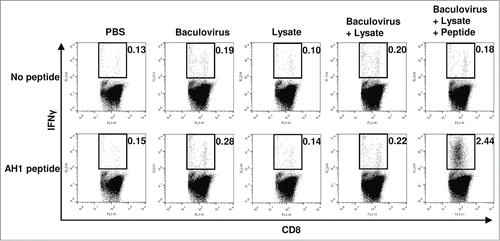 Figure 2. Assessment of CD8+ T cell responses by intracellular staining for cytokines. Seven days after the final immunization procedure with various vaccines indicated (n = 5 per group), splenocytes were collected and cultured with or without the AH1 peptide for 6 h to stimulate peptide-specific CD8+ T cells, and the production of IFNγ by T cells was measured using flow cytometry. Plots are gated on CD8+ cells and representative of data obtained from 5 animals per group. Numbers above each fluorescence-activated cell sorter (FACS) plot are the percentages of IFNγ-producing CD8+ T cells. Similar results were obtained in 2 independent experiments.