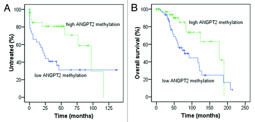 Figure 4. Kaplan-Meier curves for time to first treatment (TTFT) and overall survival (OS) in relation to ANGPT2 CpG methylation. In (A and B), 88 CLL patients were divided according to high and low ANGPT2 methylation using the cut-off value 73% (methylation percentage, average of all 6 CpG sites). Low ANGPT2 methylation cases had significantly shorter TTFT [(A) median 23 vs. 97 mo, p = 0.022; log-rank test] and OS [(B) median 79 vs. 177 mo, p = 0.018; log-rank test] compared with cases with high ANGPT2 methylation.