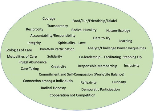 Figure 1. A working representation of the constellation of values that underpins the work of the AgroecologyNow collective.