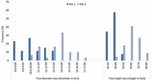 Figure 1. Frequency of trees in different diameter and height classes at two sites.