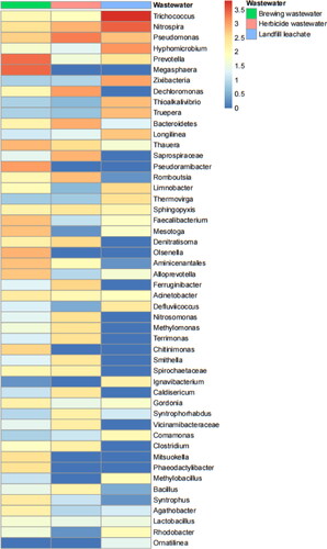 Figure 9. OTU abundance clustering heat maps of the three sewages at the genus level. The distribution of the top 50 genera (in abundance) was plotted for each sample, and the abundance values corresponding to different colours of each square were the relative abundance values of the genus.