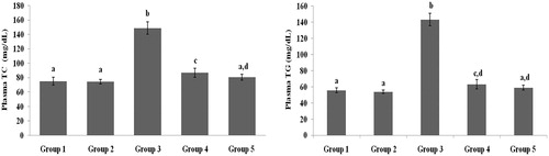 Figure 2. Effect of galangin on abnormal changes in plasma TC and TG levels in rats with streptozotocin-induced hyperglycaemia. Data are presented as mean of six rats per group ± standard error (S.E.). Groups 1 and 2 are not significantly different from each other (a, a; p < 0.05). Groups 4 and 5 are significantly different from Group 3 (b vs. c, ad, cd, ad; p < 0.05). S.E.: standard error; STZ: streptozotocin. Group 1: healthy control rats; Group 2: healthy control +8 mg galangin; Group 3: diabetic control; Group 4: diabetic +8 mg galangin; Group 5: diabetic +600 µg glibenclamide.