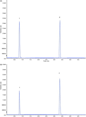 Figure 2. LC/MS/MS chromatograms of caffeic acid and IS cinnamic acid: (A) blank rat plasma spiked with 2 ng/mL of caffeic acid and the internal standard (40 ng/mL); (B) plasma sample from a rat at 8 h after intragastric administration of a 10 mg/kg dose of caffeic acid; 1-caffeic acid; 2-IS cinnamic acid.