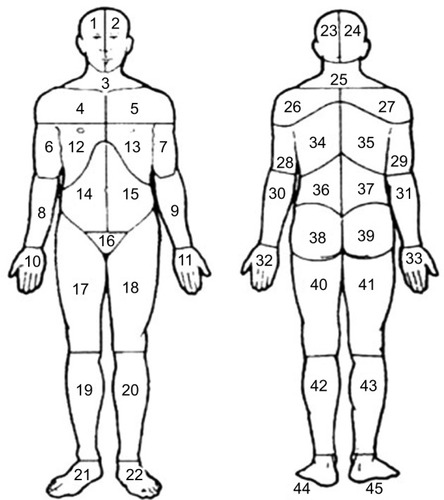 Figure 1 Body manikins used to define the 45 pain sites in the front and the back