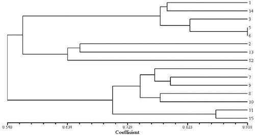 Figure 3. Dendrogram plot of 15 Aconitum specimens by UPGMA cluster analysis (RAPD).