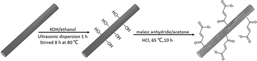 Scheme 1. The route of grafting MAH onto CF surface.