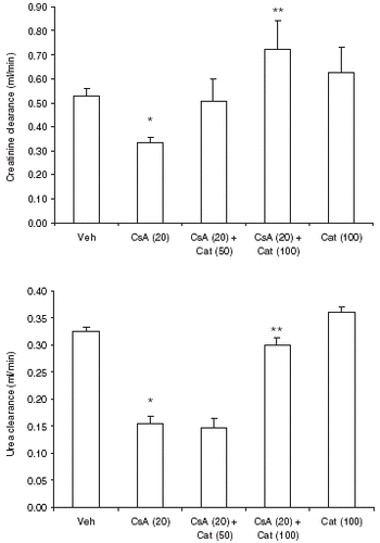 Figure 2. Effect of catechin on creatinine clearance (upper panel) and urea clearance (lower panel) in CsA treated rats. Values are in mean ± S.E.M. Veh: vehicle, CsA: cyclosporine-A, Cat (50): catechin (50 mg/kg/day), Cat (100): catechin (100 mg/kg/day). *P<0.05, as compared to vehicle, **P<0.05, as compared to CsA alone treated rats.