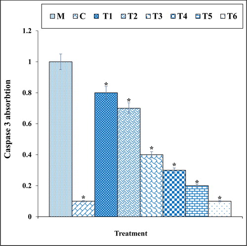 Figure 9. The caspase 3 absorption in different treatments after 48 h.M: Methadone, C: Control, T1: 100μM methadone and 2μg of Cu(NO3)2, T2: 100μM methadone and 4μg of Cu(NO3)2, T3: 100μM methadone and 2μg of N. sativa, T4: 100μM methadone and 4μg of N. sativa, T5: 100μM methadone and 2μg of CuNPs, T6: 100μM methadone and 4μg of CuNPs.*indicate the significant difference (p ≤ 0.01) between experimental groups with methadone group.