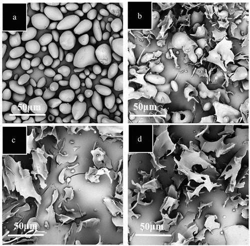 Figure 1. SEM pictures of APS treated by HSJ at 200 MPa for different numbers of passes. (a) HSJ0, (b) HSJ2, (c) HSJ4, and (d) HSJ8