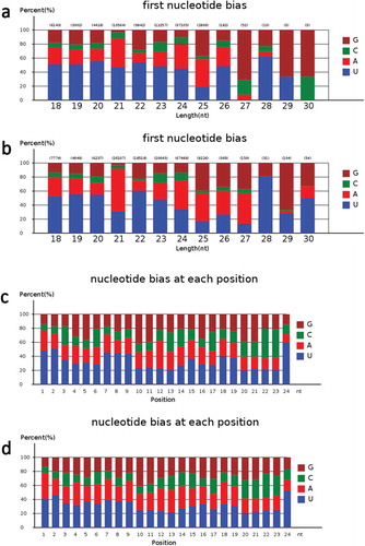 Figure 4. The analysis of miRNA first nucleotide bias and nucleotide bias at each position in known miRNAs.a. The miRNA first nucleotide bias analysis of known miRNAs in PA64S-H.b. The miRNA first nucleotide bias analysis of known miRNAs in PA64S-L.c. The miRNA nucleotide bias at each position analysis of known miRNA in PA64S-H.d. The miRNA nucleotide bias at each position analysis of known miRNA in PA64S-L.