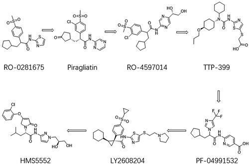 Figure 8. Development of single-conjugate amide GKA.