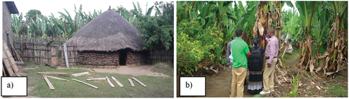 Figure 4. Enset home-garden agroforestry system in Sidama region. (a) typical enset homegarden surrounding the backyard of living place; (b) Hawassa Zuria woreda development agent explaining importance of enset to Hawassa University students visiting homegarden agroforestry: as food, shade for coffee, erosion prevention, requiring less tillage, and livestock manure.