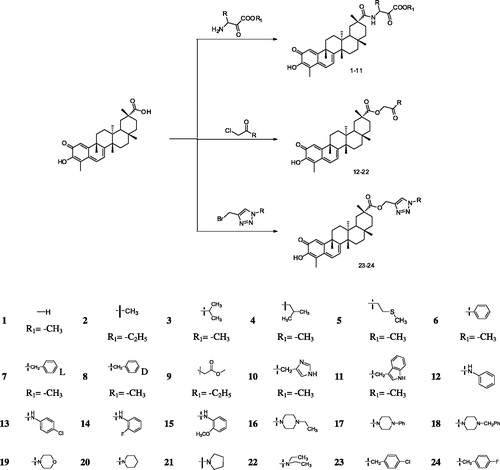 Scheme 1. Synthesis of celastrol derivatives (1–24).