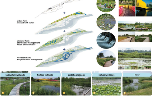 Figure 11. Weiliu Wetland Park existing situation (bioremediation site, restoring natural landscape, open-space attraction, family booths and semi-enclosed sections). Source: https://landezine.com/weiliu-wetland-park-by-yifang-ecoscape.