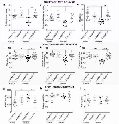 Figure 5. IL-22 treatment reverses post-infectious anxiety-, cognition-like behaviors and ill-being induced by C. rodentium infection.