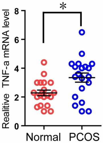 Figure 5. Comparison of TNF-α expression in granulosa cells of two groups. The relative difference of TNF-α mRNA expression results between the normal group (Normal) and the experimental group (PCOS). The red circle represents the normal group (Normal), and the blue circle represents the experimental group (PCOS). * p < 0.05