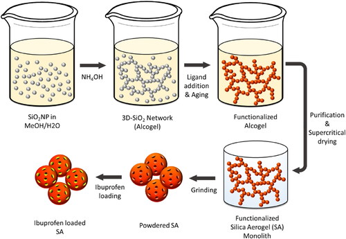 Figure 1. Schematic depiction of the SA multi-step synthesis of ibuprofen loaded SA.