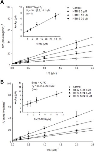 Figure 3 Inhibition of PDE4 induced cAMP hydrolysis by HTME (A) and Ro 20–1724 (B). Activities of PDE4 in the presence of various concentrations of HTME or Ro 20–1724, and the substrate (cAMP) were plotted according to a Lineweaver–Burk analysis. Ki was determined from the equation of the apparent Km as a function of the inhibitor concentration (inset).