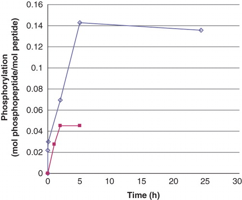 Figure 1. Phosphorylation of peptides by phosphoramidate as a function of time. The concentration of Ac-Val-Arg-Leu-Lys-His-Arg-Lys-Leu-Arg-pNA and Ac-Val-Arg-Leu-Lys-Ala-Arg-Lys-Leu-Arg-pNA was 0.5 mM and that of phosphoramidate 3.9 mM. The incubation was performed at room temperature and interrupted by centrifugation of 50 μL of the reaction mixture through two consecutive spin columns containing 210 μL DEAE-Sephacel equilibrated in 25 mM Tris/HCl, pH 8.0. The phosphate and peptide concentration in the final eluate was determined by malachite reagent and by measuring the absorbance at 320 nm, respectively. The values are given as means of duplicate analysis. (◊) Ac-Val-Arg-Leu-Lys-His-Arg-Lys-Leu-Arg-pNA and (▪) Ac-Val-Arg-Leu-Lys-Ala-Arg-Lys-Leu-Arg-pNA. Details are given in Material and methods.