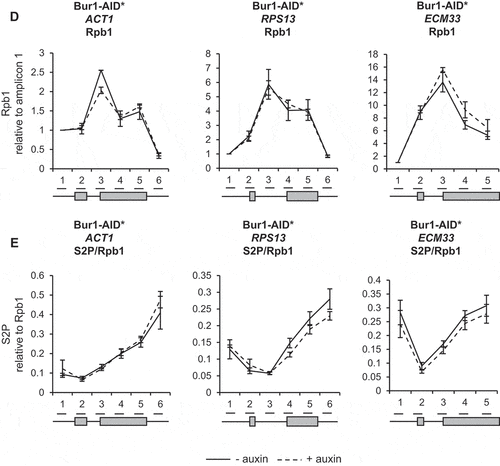 Figure 2. Continued