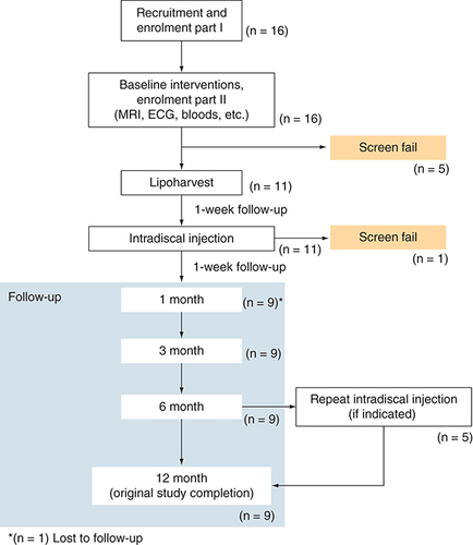 Figure 1. A flow chart highlighting the study design of this trial.