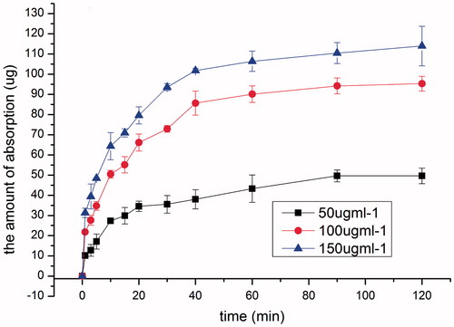 Figure 2. Effect of drug concentration on the intranasal absorption of SMS (n = 3).