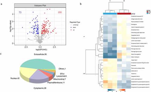 Figure 1. The DEPs between DFU patients and HC. (a) Volcano plot depicts the DEPs between DFU patients and HC. The X-axis represents log2 (DFU/HC), and the Y-axis represents the P-value of -log10. (b) DEPs involved in ECM-receptor interaction and the complement and coagulation cascades (rows) in DFU patients (red bars) and HC (blue bars). (c) Subcellular localization analysis of all DEPs was performed using the subcellular structure prediction software CELLO. The red and blue dots represent up-and down-regulated proteins respectively. DFU, diabetic foot ulcer; HC, healthy control.