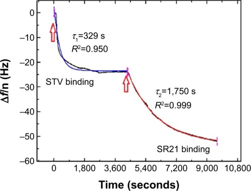 Figure 3 Kinetics of adsorption of STV to Au-coated QCM-D sensors and subsequent binding of SBP displaying phage SR21.Notes: The blue and red solid lines represent the fits to EquationEquation 1Δf=Δf0+Ae−tτ(1) : Δf = Δf0 + Ae−1/τ. The black line is experimental data. The red arrows indicate the time of addition of the sample.Abbreviations: STV, streptavidin; QCM-D, quartz crystal microbalance with dissipation monitoring; SBP, streptavidin-binding protein; A, amplitude; τ, time constant.