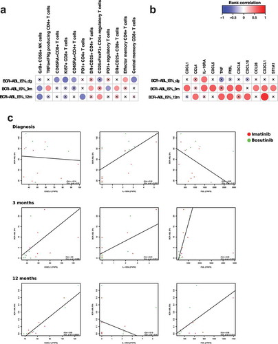 Figure 2. BCR-ABL burden correlates with immunological parameters during treatment time. Spearman rank correlation analysis revealed several significant hits when comparing BCR-ABL IS% at diagnosis, then 3 and 12 months after treatment start with multiple phenotyping parameters (a) as well at plasma proteins (b). The scale indicates correlation coefficient values: positive correlations are observed with red color and negative with blue color. Nonsignificant results are marked with an X. Individual correlation plots with regression were analyzed for CX3CL1, IL-10RA, and Flt3L at baseline, 3 months and 12 months (c). One outlier (abnormally high BCR-ABL IS%) was removed from the analysis. Bosutinib-treated patients are presented in the figures in green and imatinib-treated patients in red. Protein levels are expressed as Normalized Protein eXpression (NPX) values, an arbitrary unit on log2-scale. Regulatory T cells were gated as CD45+ CD3+ CD4+ CD25high FoxP3+, memory subsets of T cells were defined by expression of CCR7 and CD45RA, and cytokine-producing T cells refer to TNF-alpha and interferon-gamma-producing CD4 + T cells after in vitro-stimulation.