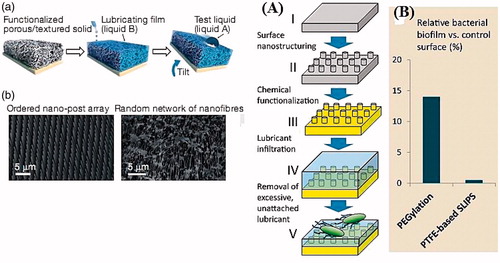 Figure 1. (a) Schematic procedure of preparation of SLIPS by infiltration of a low-surface-energy liquid into the porous substrate. (b) SEM images of epoxy-based nano post arrays (left) and nano fiber network of Teflon (right) [Citation12]. (A) Schematic concept of perfluorinated lubricant infiltration into the porous Teflon substrate. (B) Formation of bacteria layer on the prepared SLIPS after 7 days compared with PEGylated surface after 5 h, as presented in [Citation14]. Reproduced by permission of ref. [Citation11,Citation13].