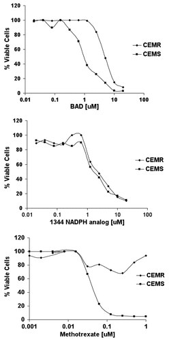 Figure 1. Three thousand CCRF-CEMR or CCRF-CEMS were plated in RPMI media containing varying concentrations of drug, highest concentration of 20 μM, and incubated at 37ºC for 96 h. Cytotoxicity was measured using the trypan blue exclusion assay and cell viability was evaluated using the Vi-CELL Series Cell Viability Analyzer.