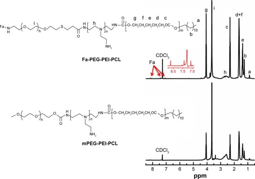 Figure 2 1H NMR spectra of Fa-PEG-PEI-PCL and mPEG-PEI-PCL in CDCl3.Note: The letters a–g indicate the chemical groups for peaks on the 1H NMR spectrum.Abbreviations: Fa, folic acid; 1H NMR, protein nuclear magnetic resonance; PCL, poly(ε-caprolactone); PEG, poly(ethylene glycol), PEI, poly(ethylenimine).